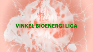 Vinkel Bioenergi Ligaen